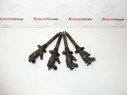 Einspritzset Bosch 2.0 und 2.2 HDI 0445110036 Laufleistung 182000 km