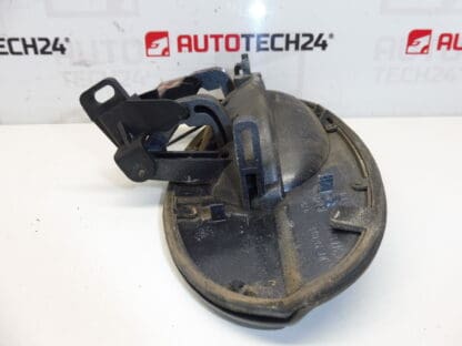 Linker hinterer Türgriff EZWD Citroën C5 I und II 9631831077 9101S7