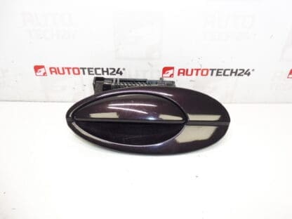 Türgriff hinten links Citroën C5 I und II 9631831077 9644270277 9101S7 EFBD