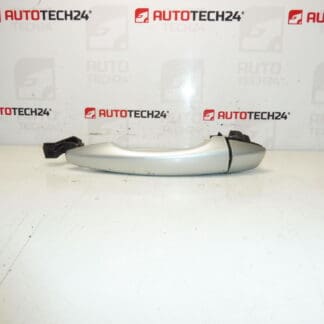 Citroën Peugeot DS EZRC 9101LW Türgriff