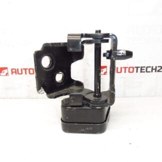 Linke Türstopp Citroën C5 X7 9035W9