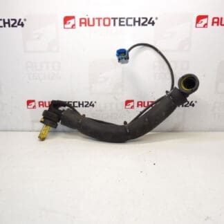 Verbindung des Citroën Peugeot 1.8 16V und 2.0 16V 9659928480 1192Z6