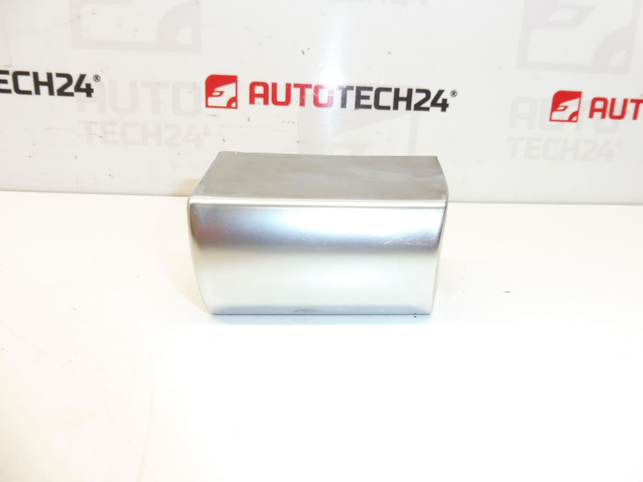 Abweiserabdeckung für den Außengriff der rechten Hintertür Citroën Peugeot 1484500077 9101EJ