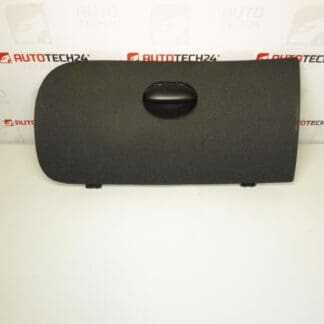 Peugeot 206 Handschuhfachdeckel 96588022ZJ 8218CC