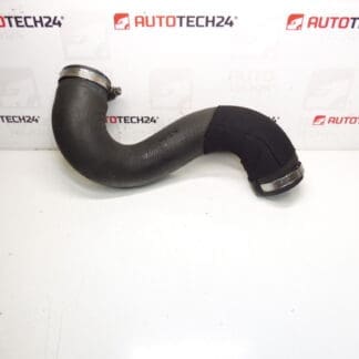 Luftanschluss Citroën Peugeot 2.0 HDI 0382NE
