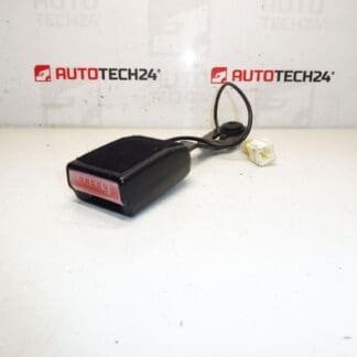 Peugeot 207 Reisepasshülle 8975S9